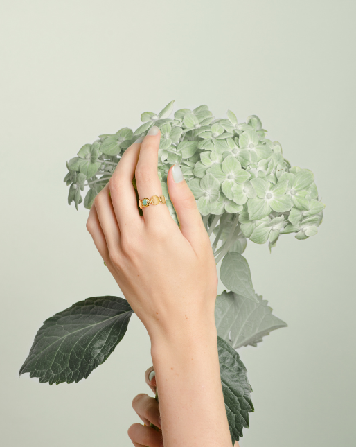 Laura Ring – Boho Hunter